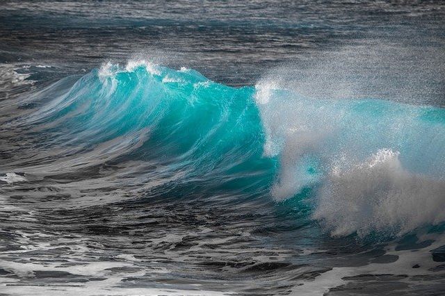 As well as a gnat seek to drink in the ocean , as a finite creature to comprehend the Eternal God.   Charles Spurgeon