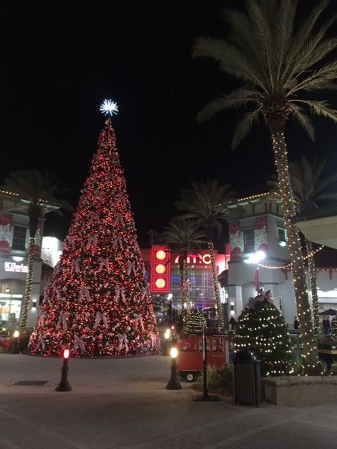 If God consistently sent lightning bolts in response to bad doctrine, our planet would sparkle nightly like a Christmas tree.     Philip Yancey