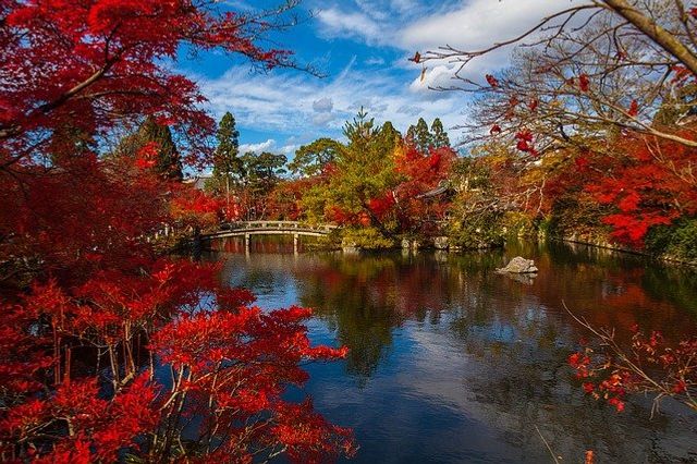 I am so glad I live in a world where there Octobers.   L.M. Montgomery