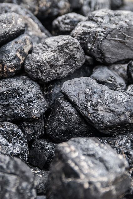 Diamonds are nothing more than chunks of coal that stuck to their jobs. Malcomb Forbes