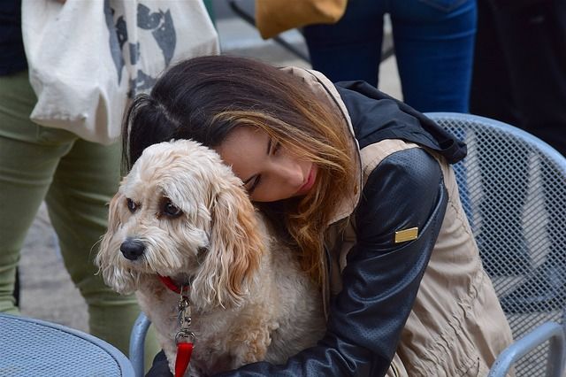 Until one has loved an animal, a part of one's soul remains unawaken.   Anatole France