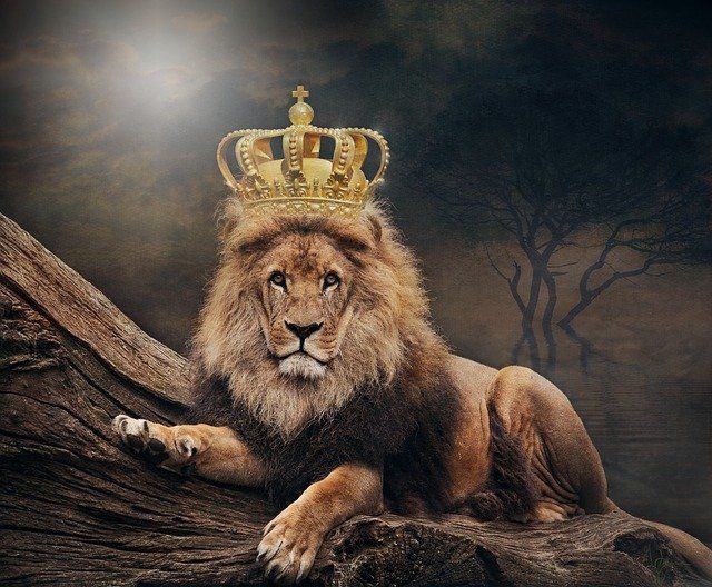 My crown is content, a crown seldom kings enjoy. William Shakespear