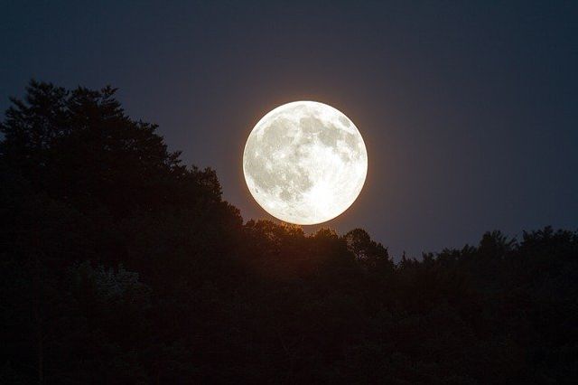Sometimes weak and wan,sometimes strong and full of light. The moon understands what it means to be human. Tahereh Mafi