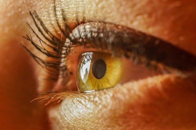 What the eye sees is determined by what the brain has learned. Richard Restak