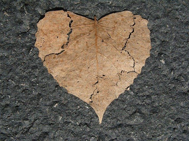 One small crack does not mean that you are broken,it means that you were put to the test and you didn't fall apart. Linda Poindexter