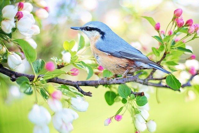 April dressed in all his trim ,hath put a sprit of youth in everything. William Shakespear