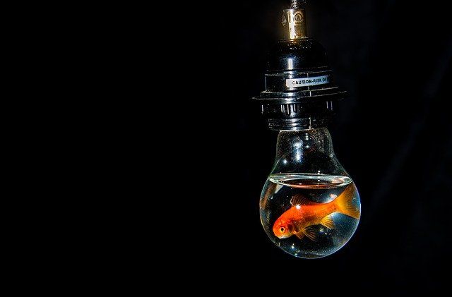 Telling a teenager the facts of life is like giving a fish a bath. Arnold H. Glasow