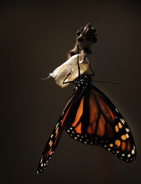 When you're through changing ,you're through. John Maxwell