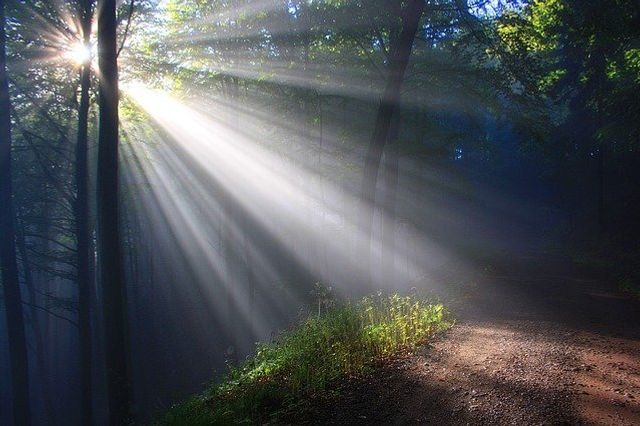 The ideals which have lighted my way, and time after time have given me new courage to face life cheerfully, have been kindness beauty and truth. Albert Einstein