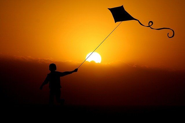 Throw your dreams into space like a kite, and you do not know what it will bring back; a new life, a new friend, a new love, a new country. Anais Nin