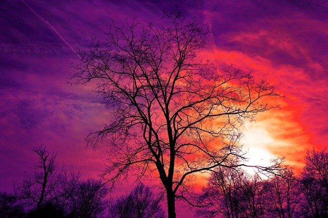 The heavens tell of the glory of God.The skies display his marvelous craftmanship. Day after day they continue to speak ; night aftter night they make him known.They speak without sound or word ;their voice silent in the skies;yet their message has gone out to all the earth , and their words to all the world.  Psalm 19:2-3