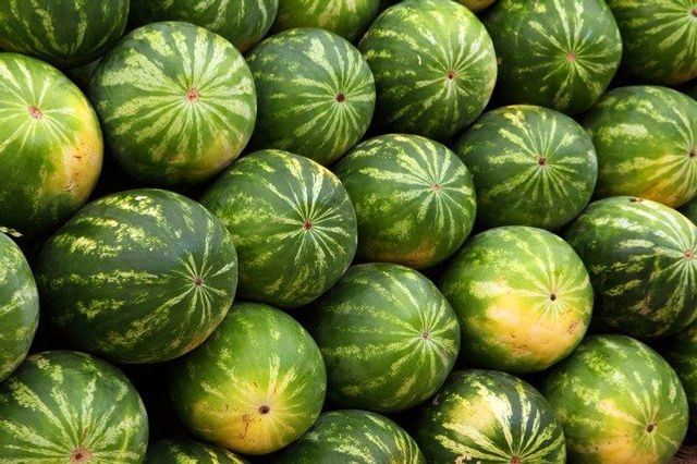 Men and melons are hard to know. Benjamin Franklin