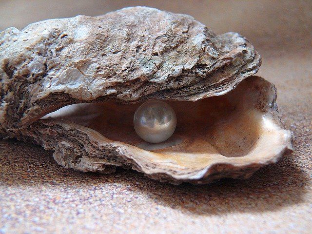 Errors ,like straws, on the surface flow; He who would search for pearls must dive below. John Dryden