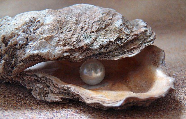 Errors, like straws, upon the surface flow; He would search for pearls must dive below. John Dryden