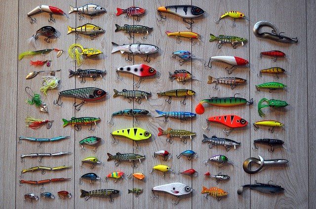 Do not bite at the bait of pleasure till you know there is no hook beneath it. Thomas Jefferson