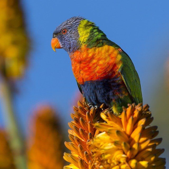 So live that you wouldn't be ashamed to sell the family parrot to the town gossip. Will Rogers