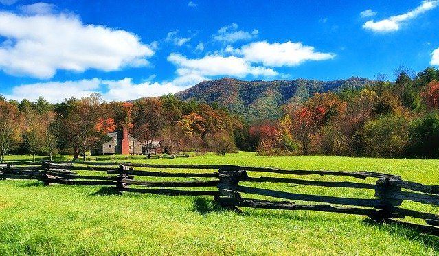 Don't ever take a fence down until you know why it was put up. Robert Frost