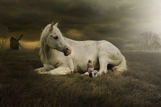 Men are generally more careful of the breed of their horses and dogs than of their children. William Penn