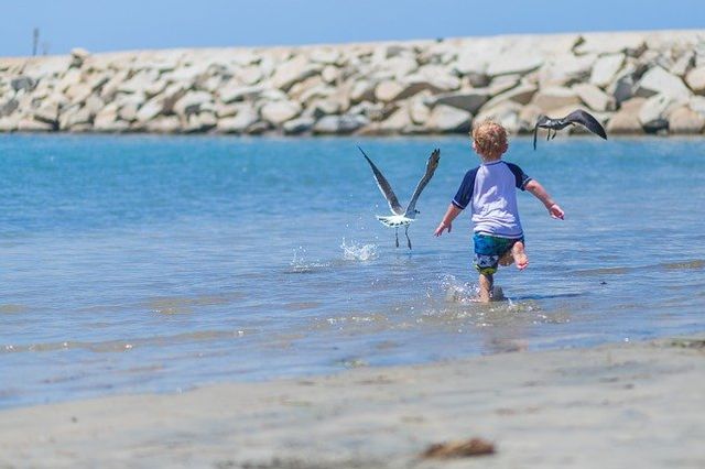 I feel like a little child playing by the seashore while the great ocean of truth lies undiscovered before me. Sir Isaac Newton